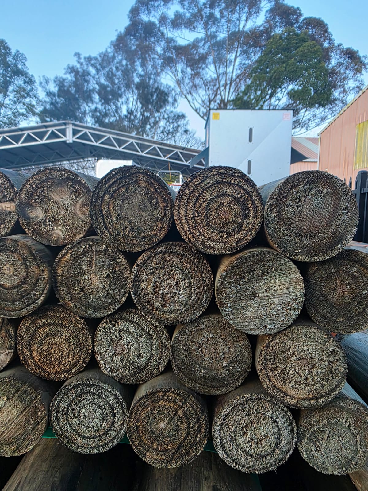 Round logs 100mm x 2.4