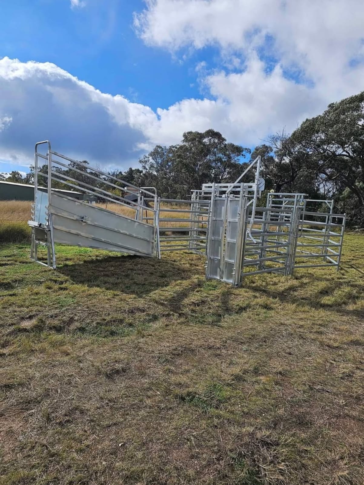 Cattle Ramp