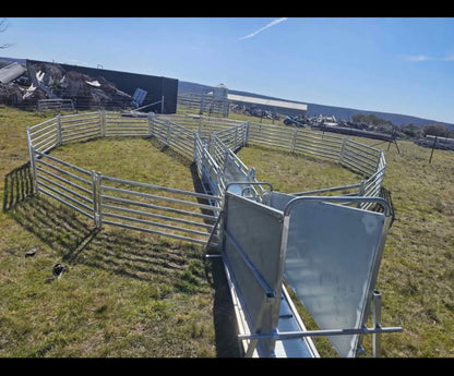 Sheep Draft Standard