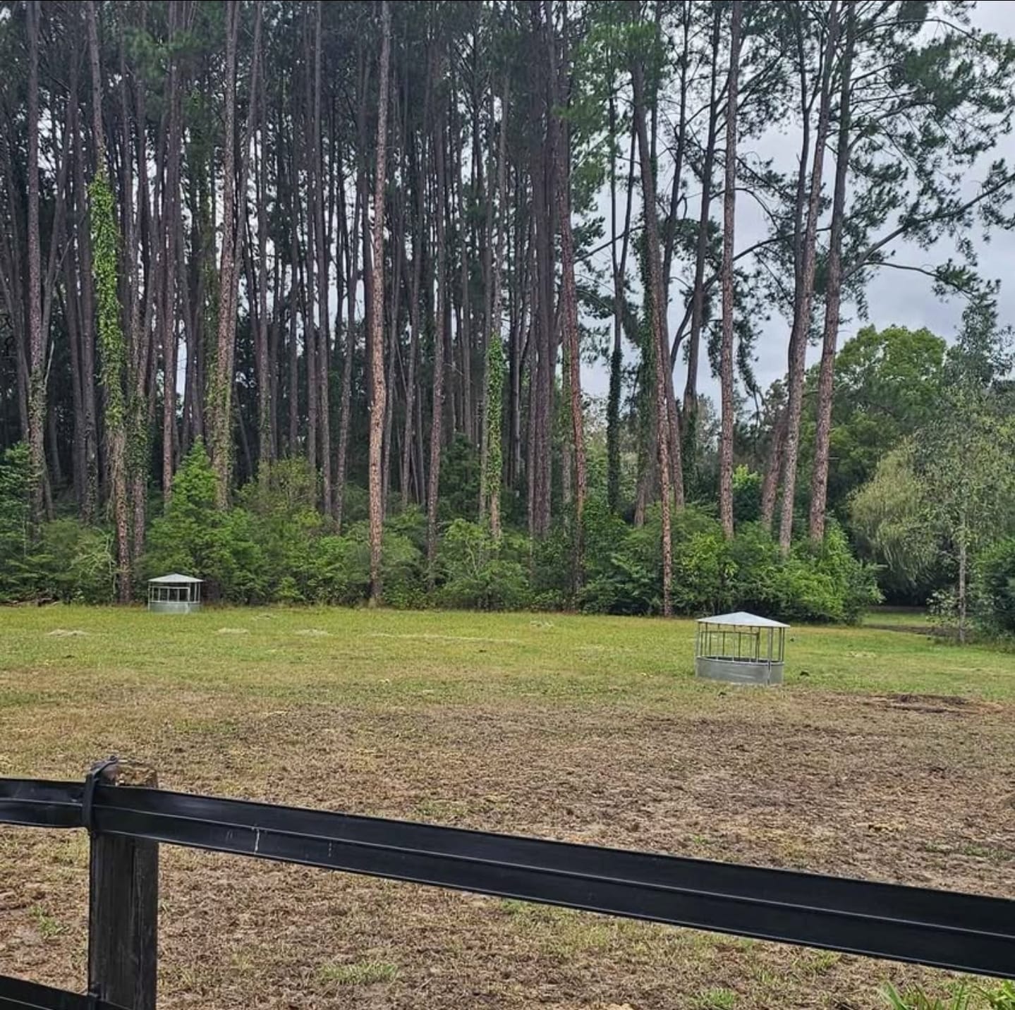 Round Hay Feeder with Roof